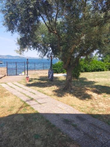 Independent Villa With Private Beach On The Lake Bracciano  Esterno foto