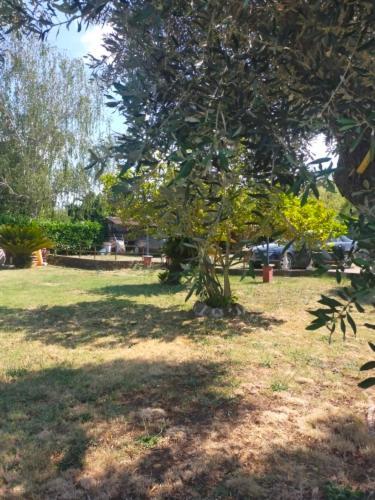 Independent Villa With Private Beach On The Lake Bracciano  Esterno foto
