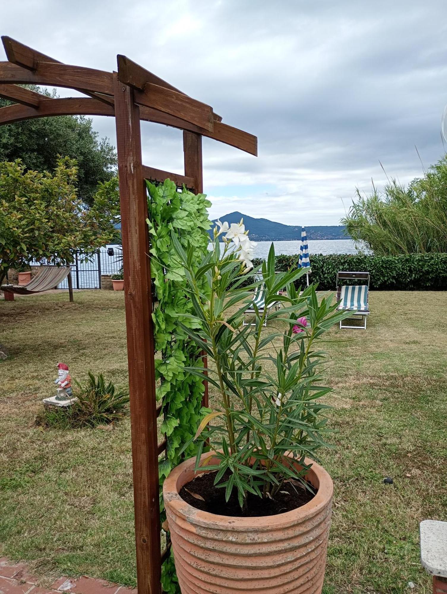 Independent Villa With Private Beach On The Lake Bracciano  Esterno foto
